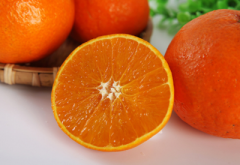早熟柑橘新品种都有哪些?种植前景如何？