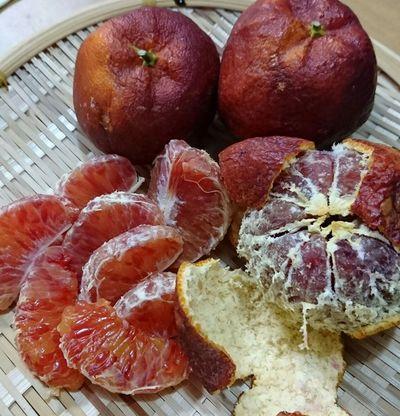 媛红椪柑什么时候成熟