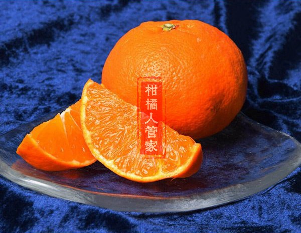 明日见柑橘切开细节图片