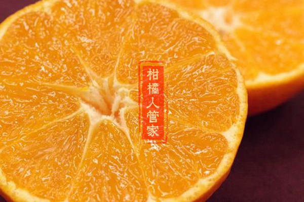 明日见柑橘切开特写图片