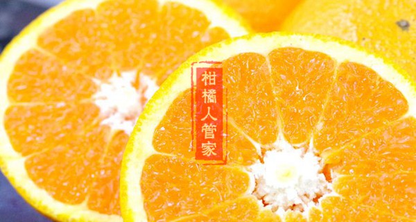 濑户见柑橘
