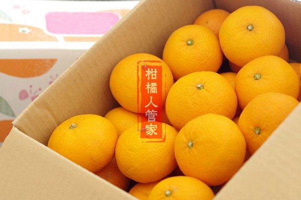 一箱濑户见柑橘果实图片