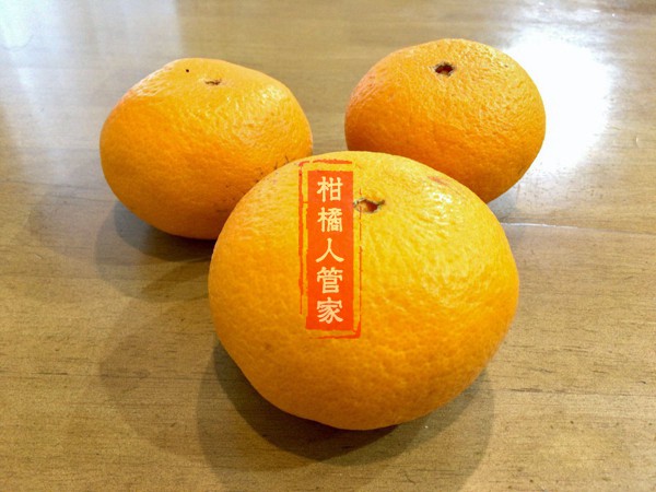 濑户见柑橘果实底面实拍