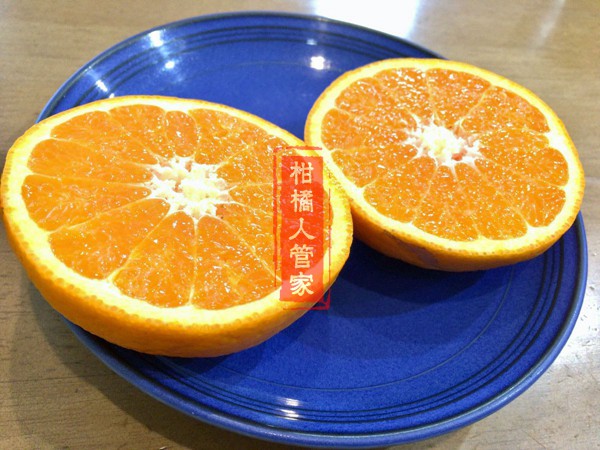 濑户见柑橘切开实拍