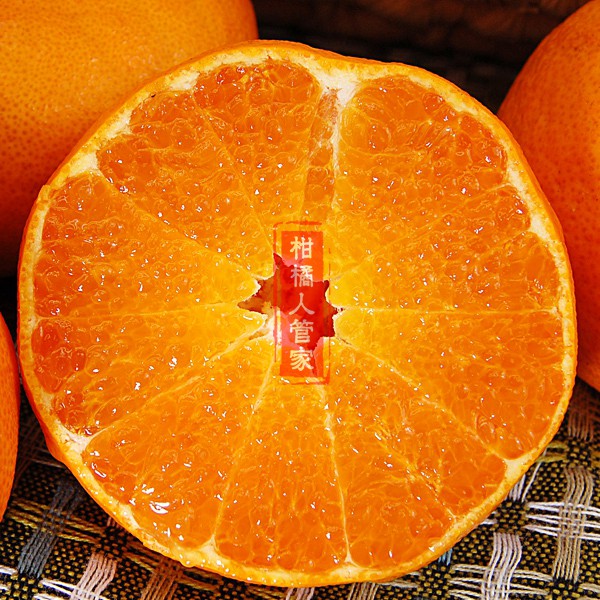 甘平柑橘果实横切面图片