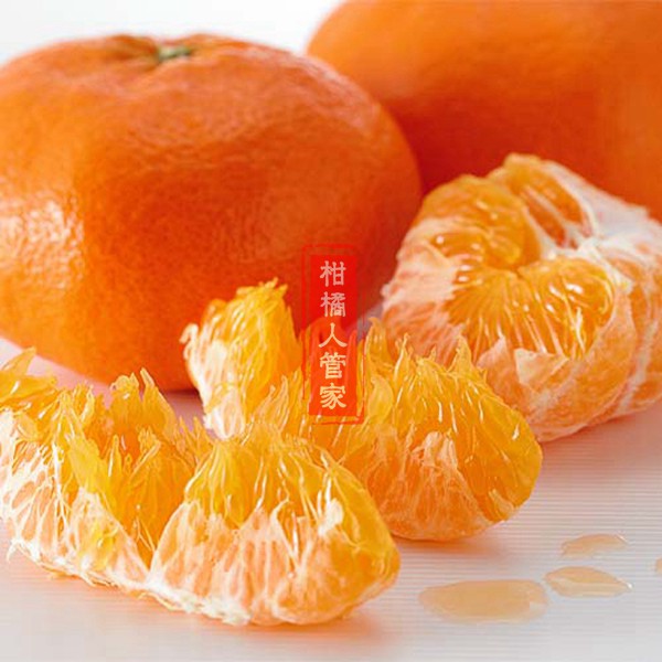 甘平柑橘果肉实拍