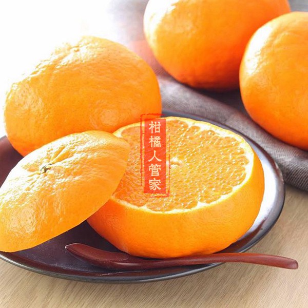 甘平柑橘精美图片