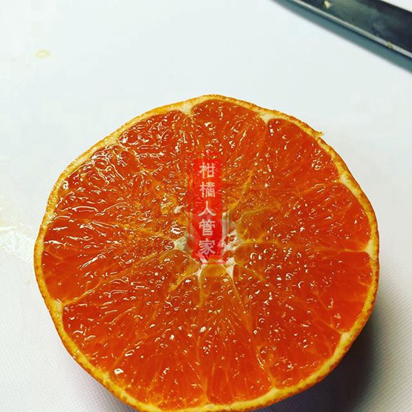 甘平柑橘剖面图片