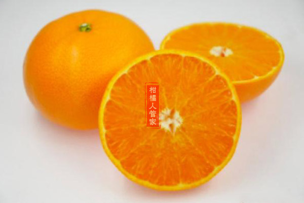 日本濑户香柑橘简介及品种介绍