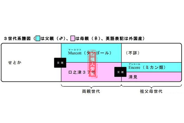 日本濑户香