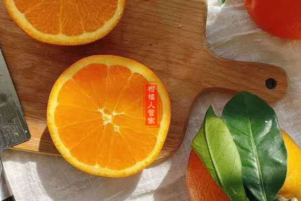 伦晚脐橙缺点