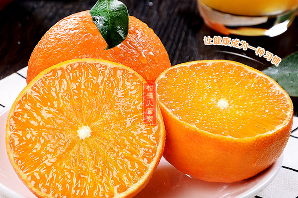 红美人柑橘种植效益