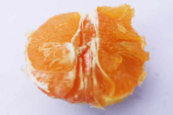 霜红桔橙品种简介（2021年晚熟柑橘新品种）