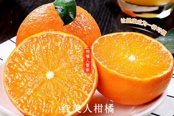 2021柑橘最好的三大品种详情介绍