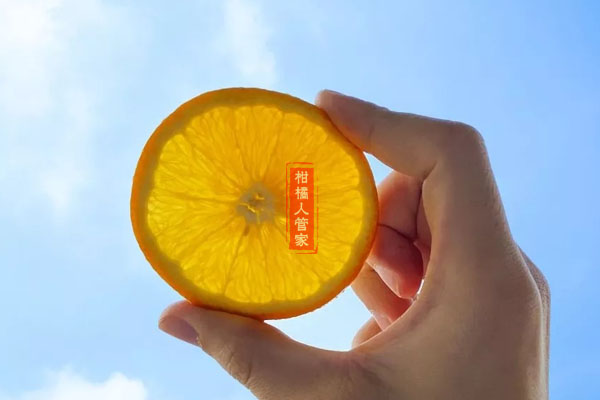 赣南脐橙多少钱一斤2021年