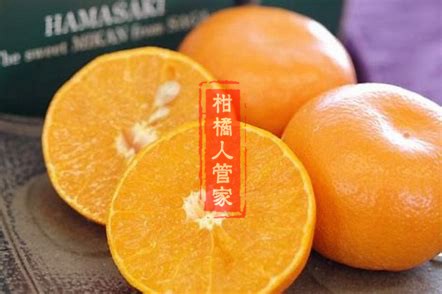 丽红柑橘品种介绍