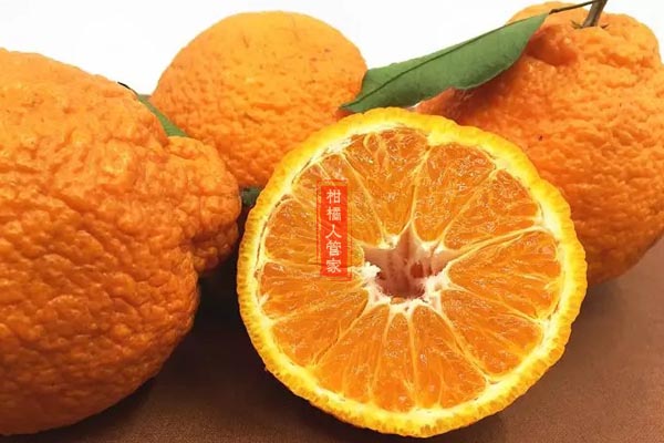 丑八怪橘子是什么季节