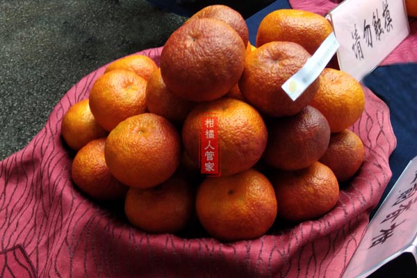 红韵香柑多少钱一斤