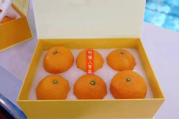 濑户香柑橘哪个地方种有