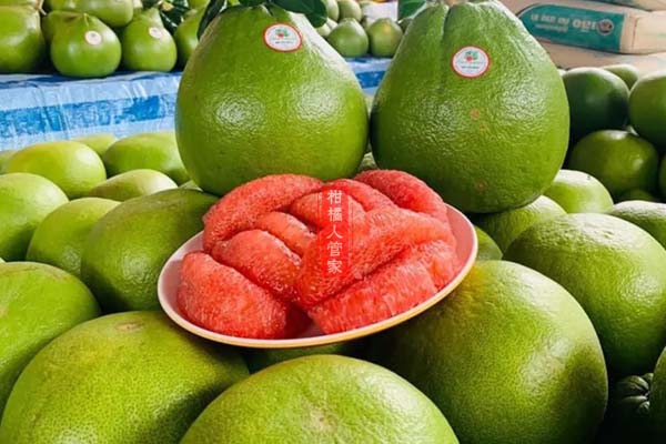 泰国红宝石青柚种植与管理栽培技术