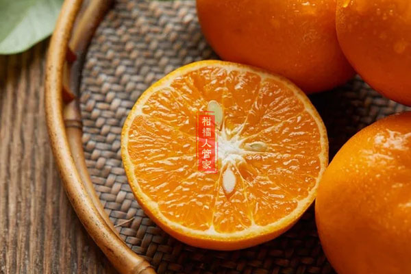 沃柑和橙子哪个营养价值更好